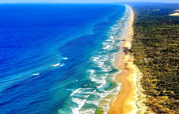 Sand, sea, wave, shore, vegetation, Australia, QLD, Fraser island