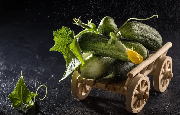 Picture leaves, drops, the dark background, fruit, wagon, truck, still life, flowering