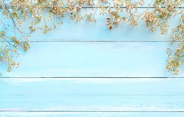 Background, wildflowers, twigs
