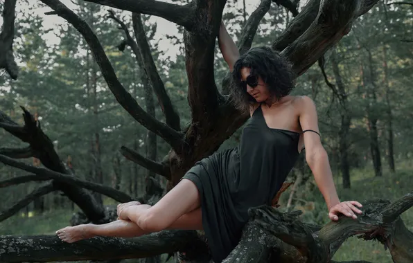 Forest, tree, photoshoot, Vadim Mironov