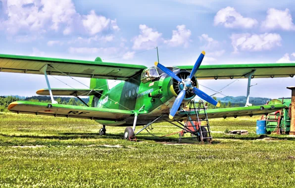 Picture Biplane, Anna, Airplane, The airfield, The plane, Biplane, An-2, Maize