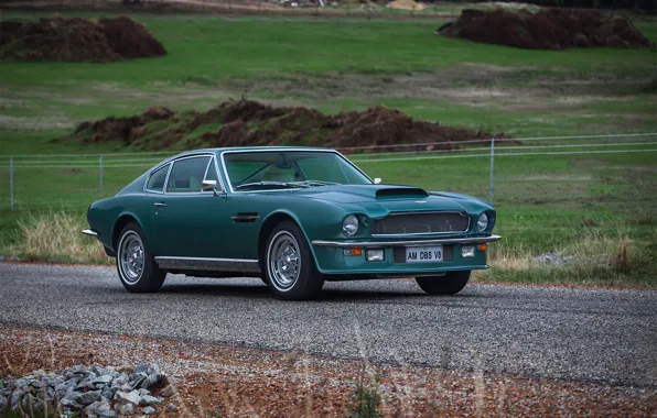 Picture Aston Martin, DBS, 1976