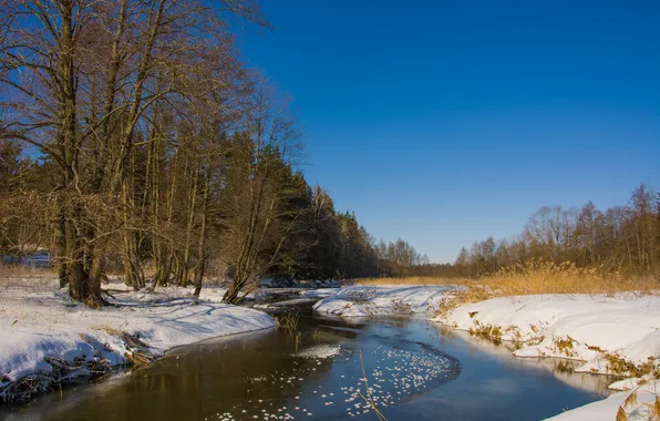 Winter, landscape, river, Sunny day, Belarus