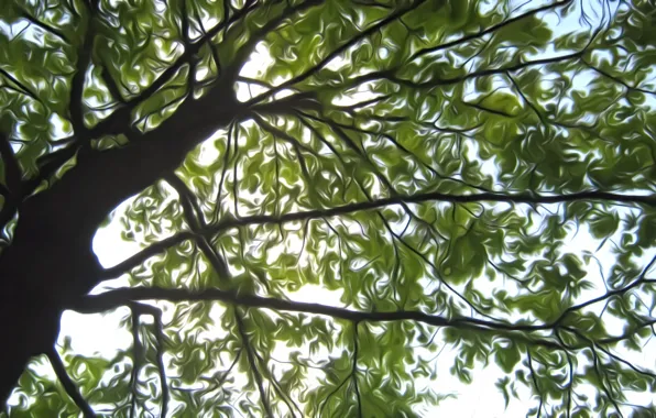 Picture the sky, leaves, light, rendering, tree, branch, spring, the air