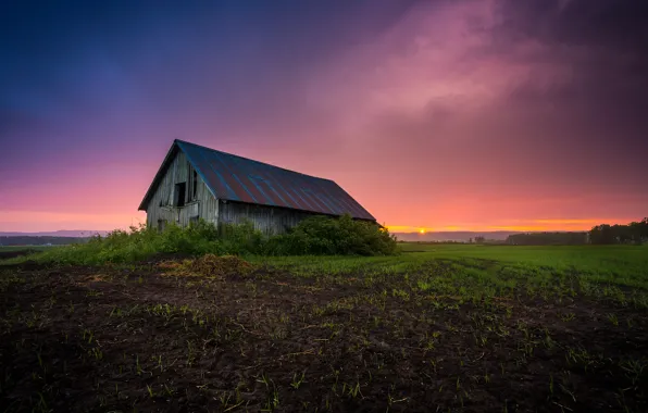 Picture field, sunset, the barn