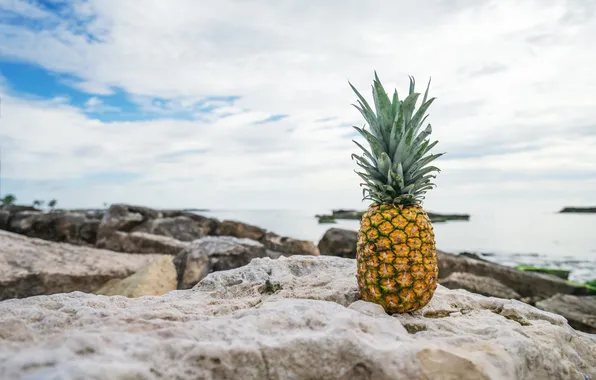 Stones, fruit, pineapple