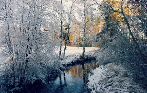 Winter, snow, trees, river