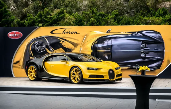 Bugatti, black, yellow, chiron