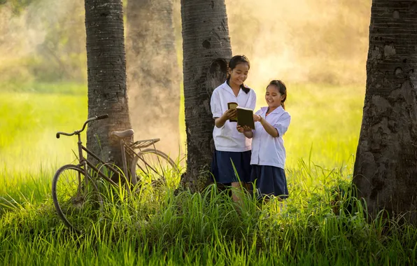 Field, landscape, child