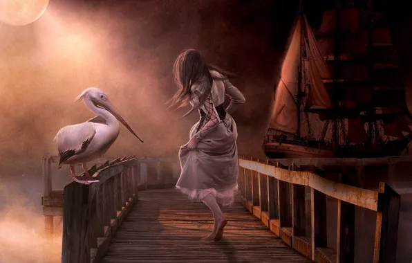 Picture girl, ship, the bridge, Pelican