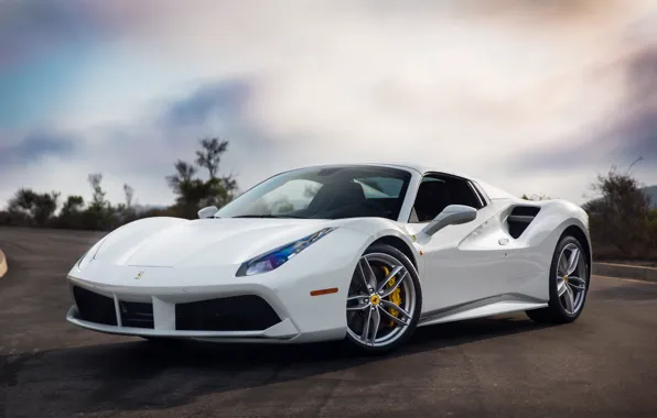 Picture Ferrari, GTB, White, 488