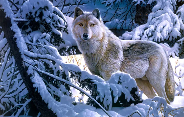 Winter, forest, snow, wolf, art, Jerry Gadamus