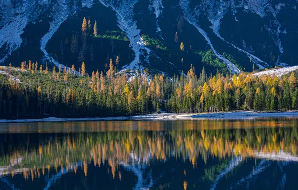 Picture autumn, forest, mountains, lake, reflection, Italy, Italy, The Dolomites