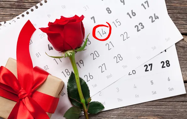 Love, flowers, gift, romance, roses, love, happy, Valentine's day