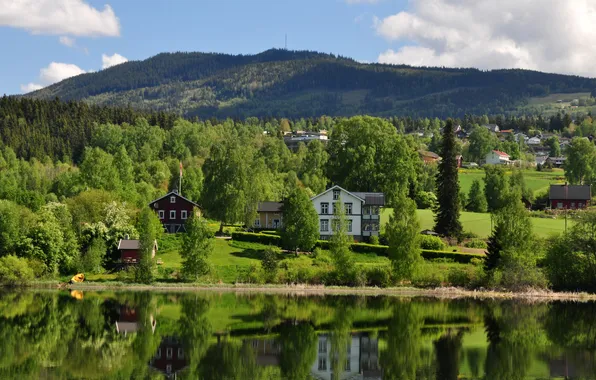 Greens, building, Lake, landscape nature