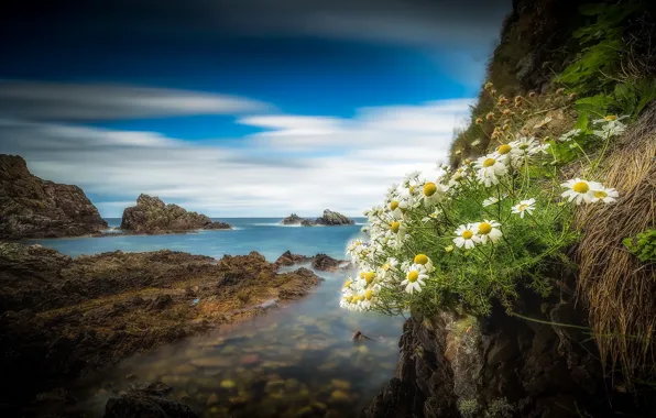 Picture rocks, coast, chamomile, Scotland, Scotland, Portknockie