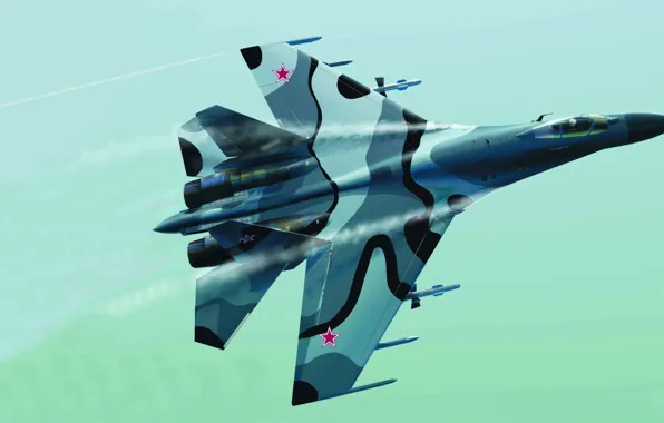 Flanker, Su-27, Dude