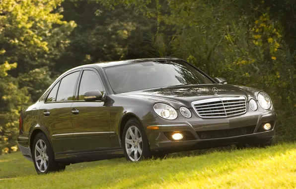 Mercedes, auto wallpapers, E320