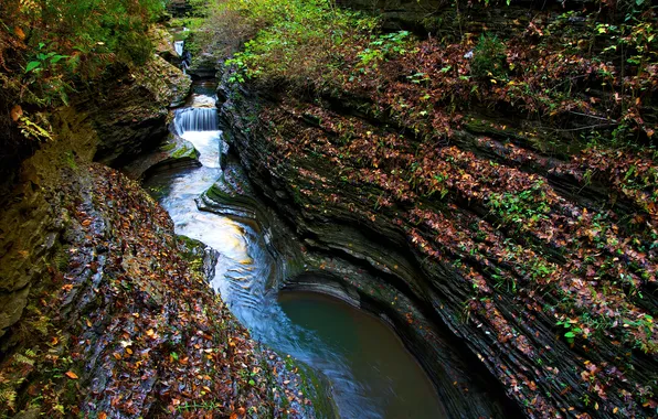 River, rocks, waterfall, stream, gorge