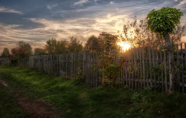 Picture road, landscape, sunset, the fence