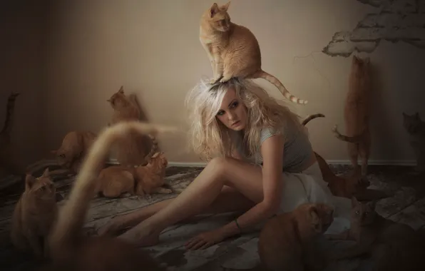 Girl, cats, cats, red