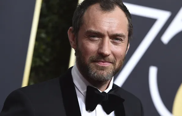 Portrait, costume, beard, actor, Jude Law, Jude Law