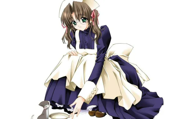 Glasses, white background, kitty, The maid, uniform, saucer