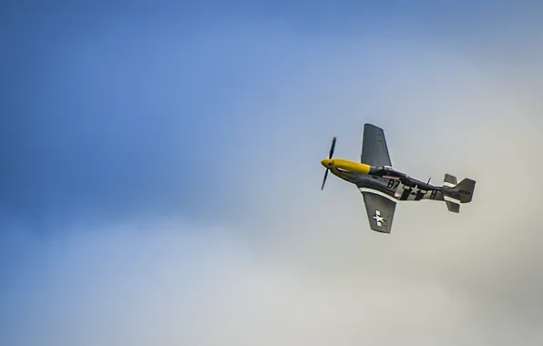 Picture the sky, the plane, fighter, P51 Mustang