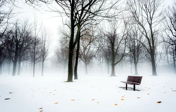 Snow, fog, Park, bench