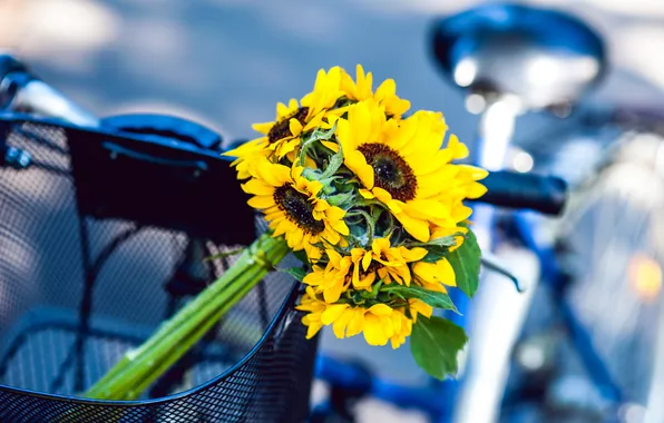 Sunflowers, flowers, yellow, bike, basket