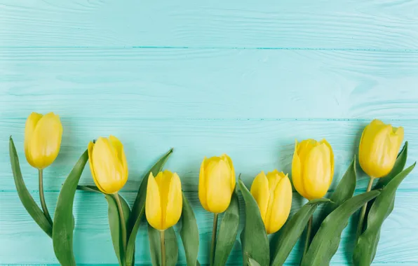 Flowers, yellow, tulips, fresh, yellow, wood, flowers, beautiful