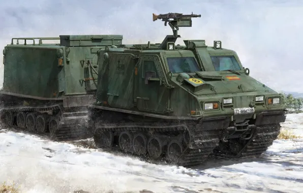 Picture Sweden, armoured cargo vehicle, BV 206 S, Haegglunds, two-section tracked all-terrain vehicle
