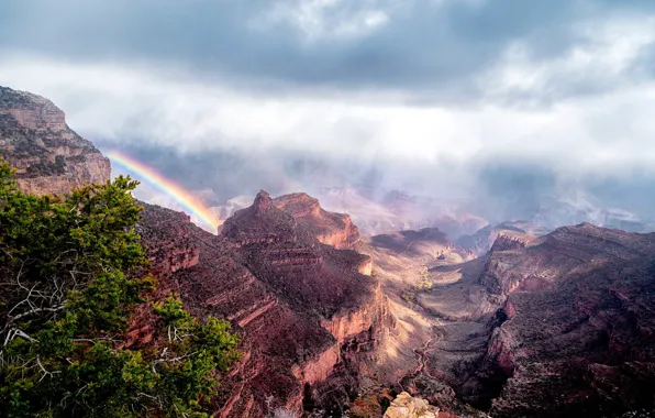 Mountains, height, canyons