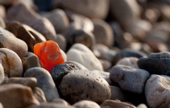 Pebbles, stones, stones, be special, be special