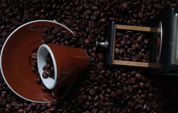 Picture coffee, mug, coffee beans, saucer, coffee grinder