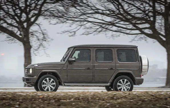 Picture winter, snow, trees, movement, Mercedes-Benz, profile, 2018, G-Class