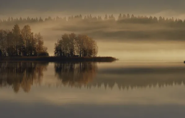 Autumn, fog, lake, boat