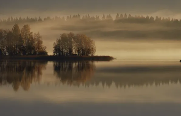 Picture autumn, fog, lake, boat