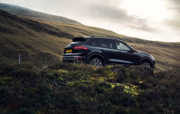 Road, Porsche, hill, Cayenne, S Diesel