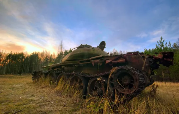 Forest, Tank, armor, military equipment