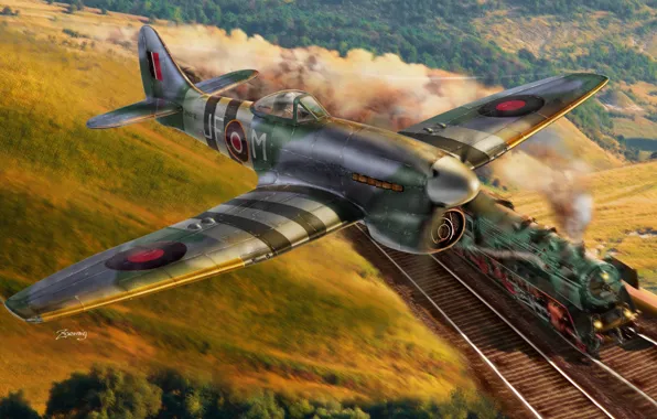 The sky, the plane, art, British, RAF, WW2, single, The Hawker Tempest