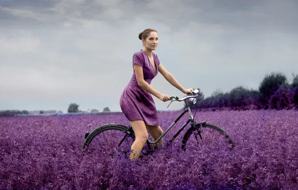 Picture field, purple, girl, flowers, bike