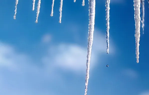 Winter, the sky, icicles, Winter Icicles