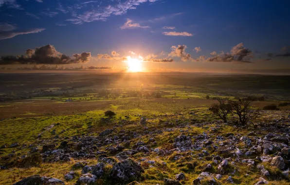 Field, landscape, sunset, England, Merrivale