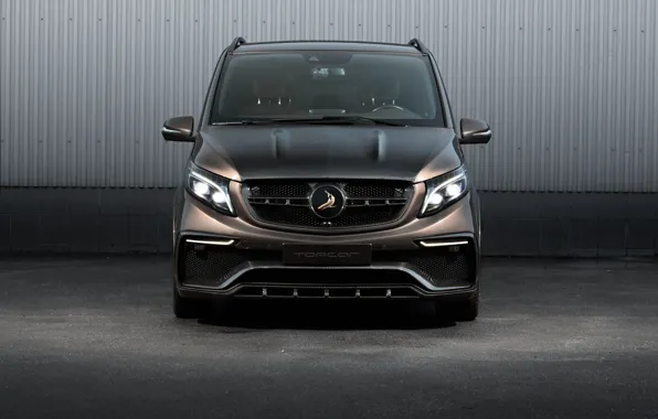 Mercedes-Benz, Light, Mercedes, Front, Inferno, Ball Wed, Brown, Face