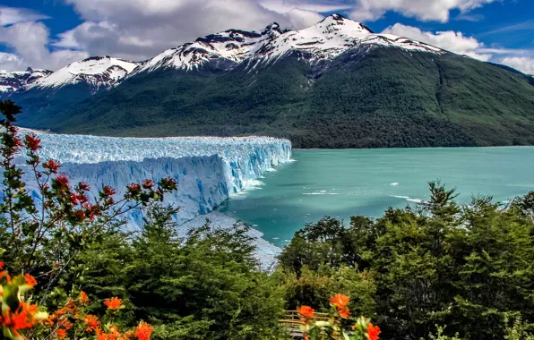 Mountains, lake, glacier, the bushes, Argentina, Argentina, Andes, Patagonia