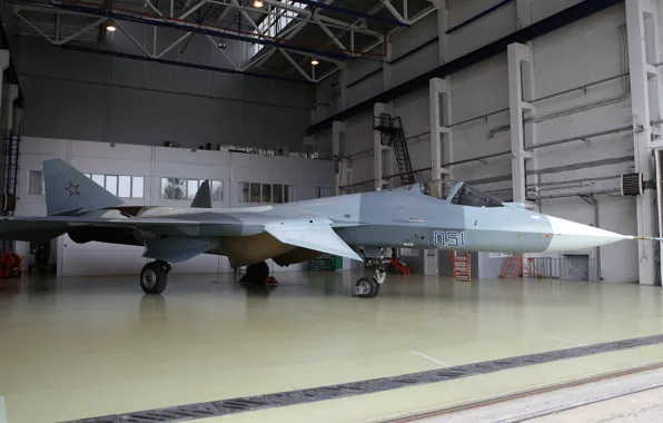 T-50, PAK FA, Sukhoi, I-21, Promising aviation complex tactical aviation, Su-50, Videoconferencing Russia, Thyme