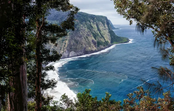 Picture Nature, Rock, Hawaii, Trunk, USA, Coast, Waipio Valley