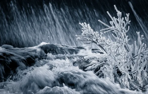 Winter, river, ice, stream