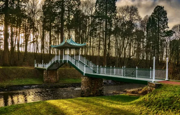 Grass, trees, bridge, Park, stream, Scotland, Ayrshire, Dumfries House
